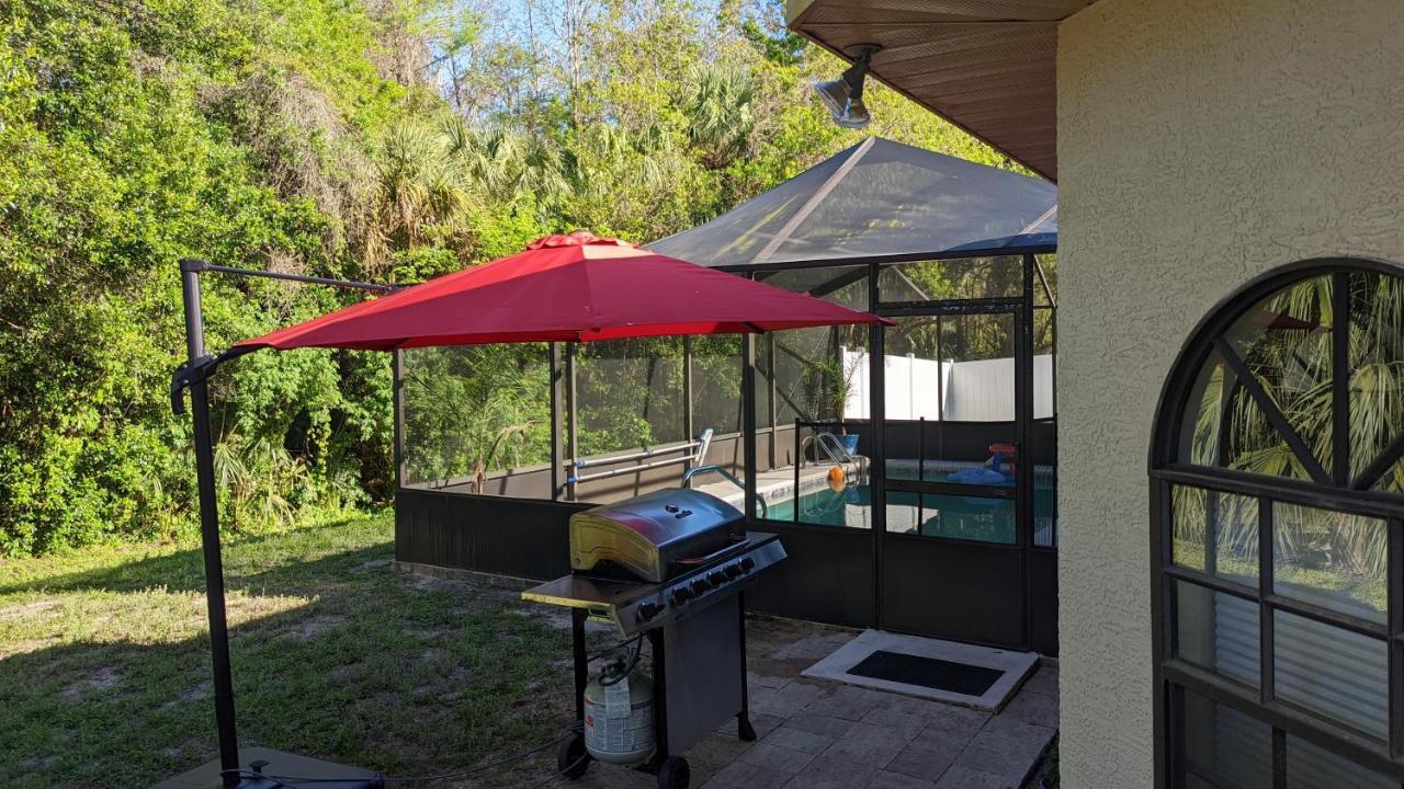 Your Manatee And Scalloping Adventure Retreat Crystal River Luaran gambar
